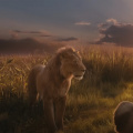 Mufasa: The Lion King to Release on Streaming Platform This Month; Here's How You Can Watch Musical Drama Film