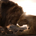 Mufasa Day 4 India Box Office: Shah Rukh Khan and Mahesh Babu voiced The Lion King prequel nets super strong Rs 7.75 crore on pre-Christmas Monday