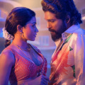 Pushpa 2 (Hindi) Day 4 Box Office: Allu Arjun film storms past Rs 250 crore in extended weekend; Total stands at Rs 267 crore