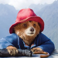 Box Office: Paddington in Peru Climbs Past USD 150M Globally, with Several Territories Yet to Open