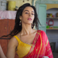 Vicky Vidya Ka Woh Wala Video: Director Raaj says Mallika Sherawat’s comeback is why 3% of Rajkummar Rao, Triptii Dimri starrer is ‘Maha Parivarik’