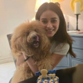 Ananya Panday celebrates first birthday of pet dog Riot who makes her ‘happiest girl in the world’; don’t miss bone cake