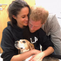 Meghan Markle Mourns the Loss of Her Beloved Rescue Dog Guy: 'I Have Cried Too Many Tears To Count'