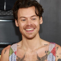 Why Did Harry Styles Donate His Ponytail? Find Out The Real Reason