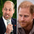 THROWBACK: When Prince Harry Revealed Brother William 'Knocked Me to the Floor' For THIS Reason