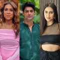 Nia Sharma, Krystle Dsouza, and Karan Wahi summoned by ED in connection to money laundering case; Report