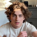 Will Timothee Chalamet Sing Bob Dylan's Song By Himself In A Complete Unknown? Director James Mangold Once Revealed THIS