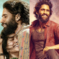 Thandel release date: Naga Chaitanya and Sai Pallavi starrer action drama to hit big screens on February 7, 2025; new romantic poster out