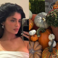 'We Are In The Halloween Spirit Over Here': Kylie Jenner Transforms USD 36 Million Mansion Into Autumn Wonderland; See PICS