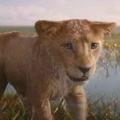 What Acted As A Driving Force For Barry Jenkins To Make Mufasa: The Lion King? Find Out As Director Spills The Beans