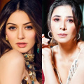 Hansika Motwani and her family face charges of domestic abuse by sister-in-law Muskan Nancy James?