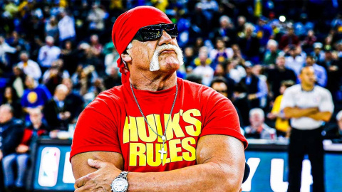 Hulk hogan discount net