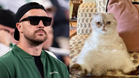 Did you know Taylor Swift's cat reportedly has a higher net worth than her boyfriend Travis Kelce? | PINKVILLA