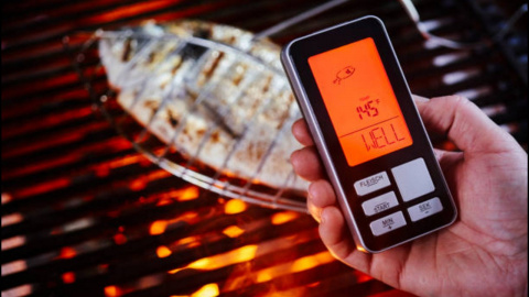 Infrared Thermometer for Grilling: Why & How to Use One?