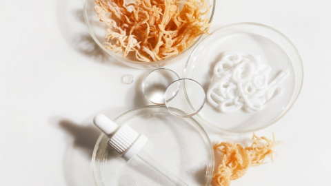 Dried Sea Moss | Hair & Skin Enhancer | TwoNilesCo