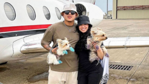 Julio Urias arrested for domestic violence: Insights into his