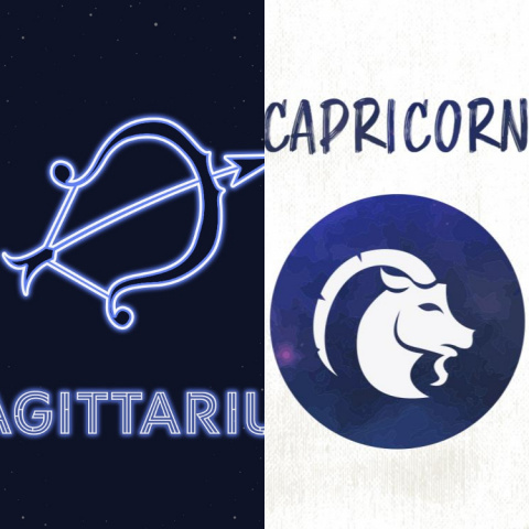 Capricorn  Anime-Planet